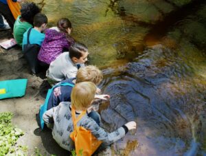 Grant Street Elementary School first and second graders come to Chimacum Creek with us every year. They release the coho salmon fry they have been raising in school and have a blast learning and playing out on the land! Photo by Wendy Feltham.