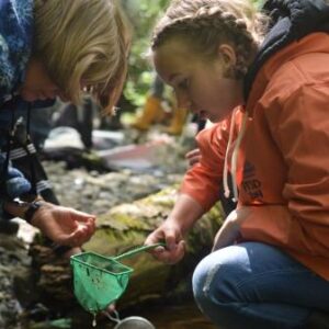 Blue Heron students surveyed macroinvertebrates in Snow Creek. Credit Caitlin Battersby