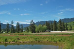 Midori Farm has ample water and rich agricultural soils on 100% of the property.