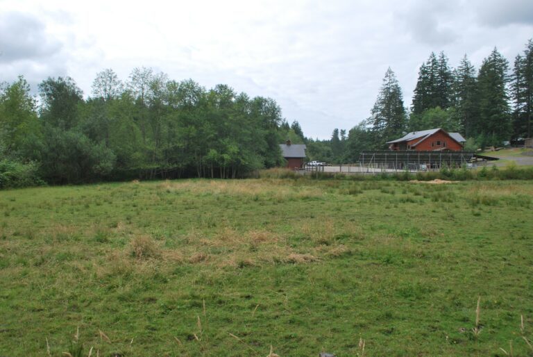 Farmland on Tarboo Creek