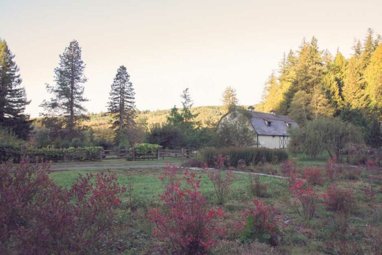 Orchard and Barn