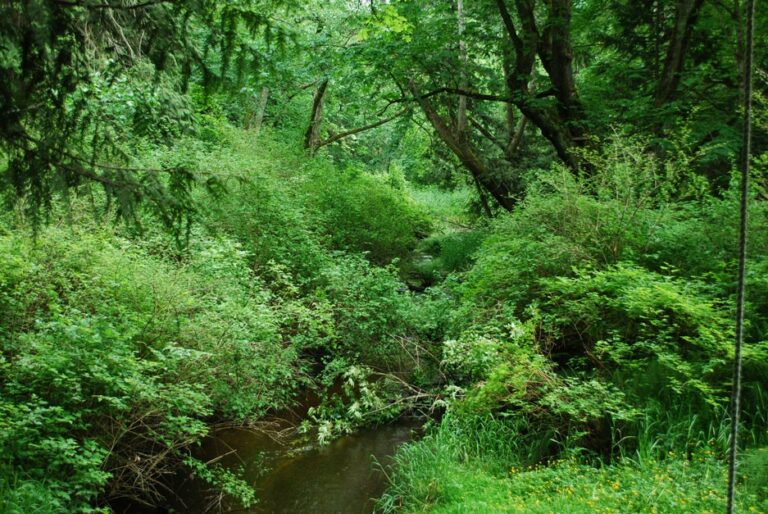 S-Curve Preserve