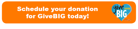 Give Big Donate Button
