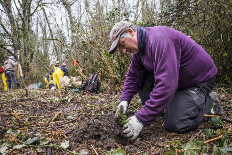 Planting Trees at Snow Creek