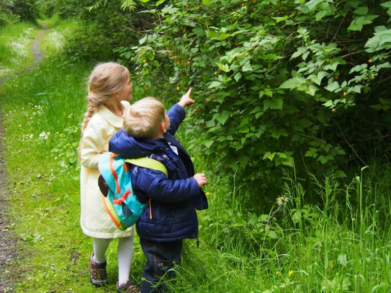 Quimper Wildlife Corridor-Photo by Wendy Feltham