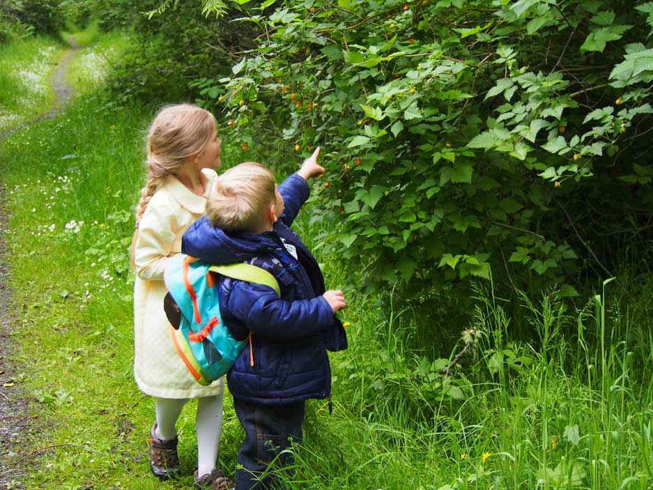 QWC_Credit-Wendy-Feltham-for-web Quimper Wildlife Corridor-Photo by Wendy Feltham