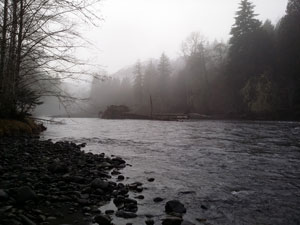Duckabush River