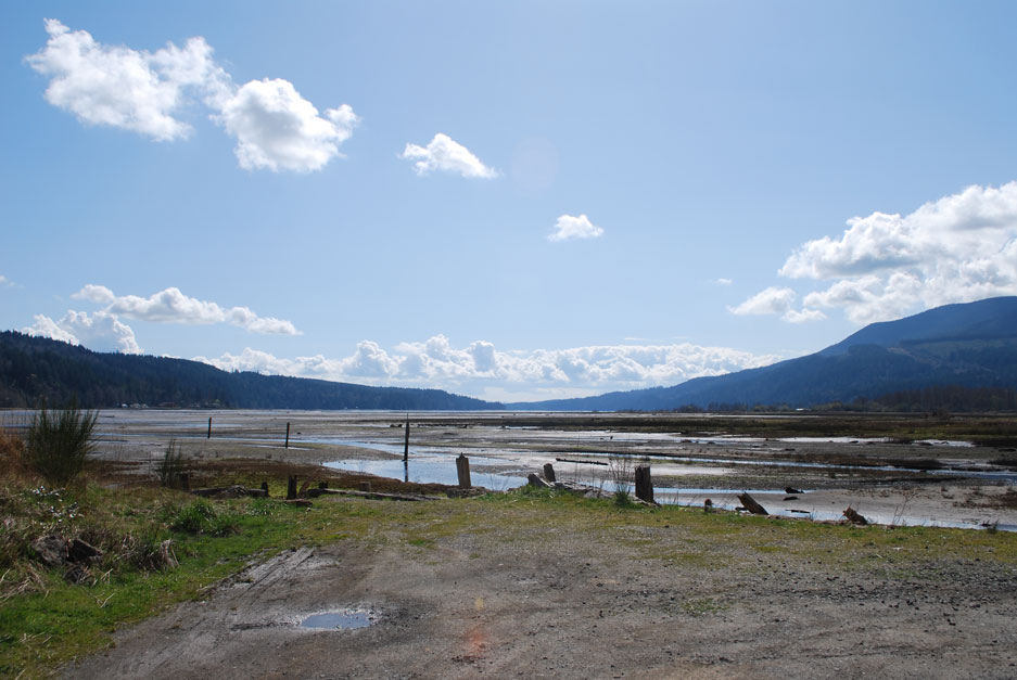 QuilceneBay-for-web large View of Quilcene Bay