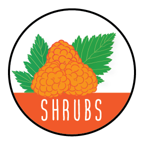 JLT_Shrubs Shrubs exploration icon