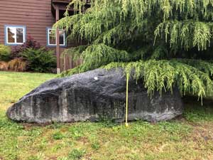 Whale-shaped 11 ft erratic rock in North Beach