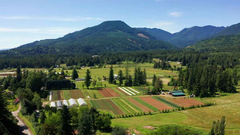 Midori Farm by John Gussman