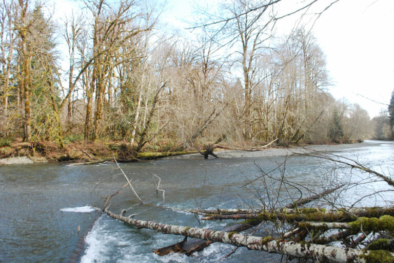 Duckabush River