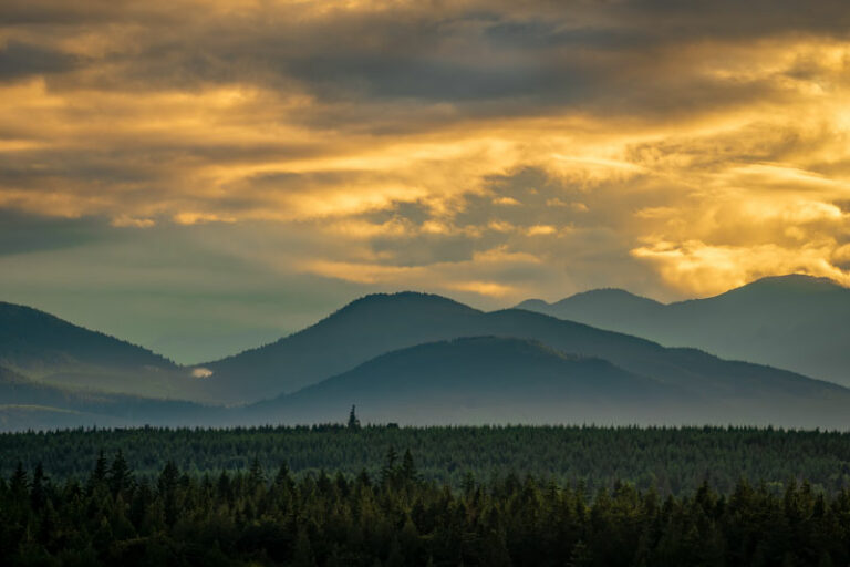 Olympic Mountains