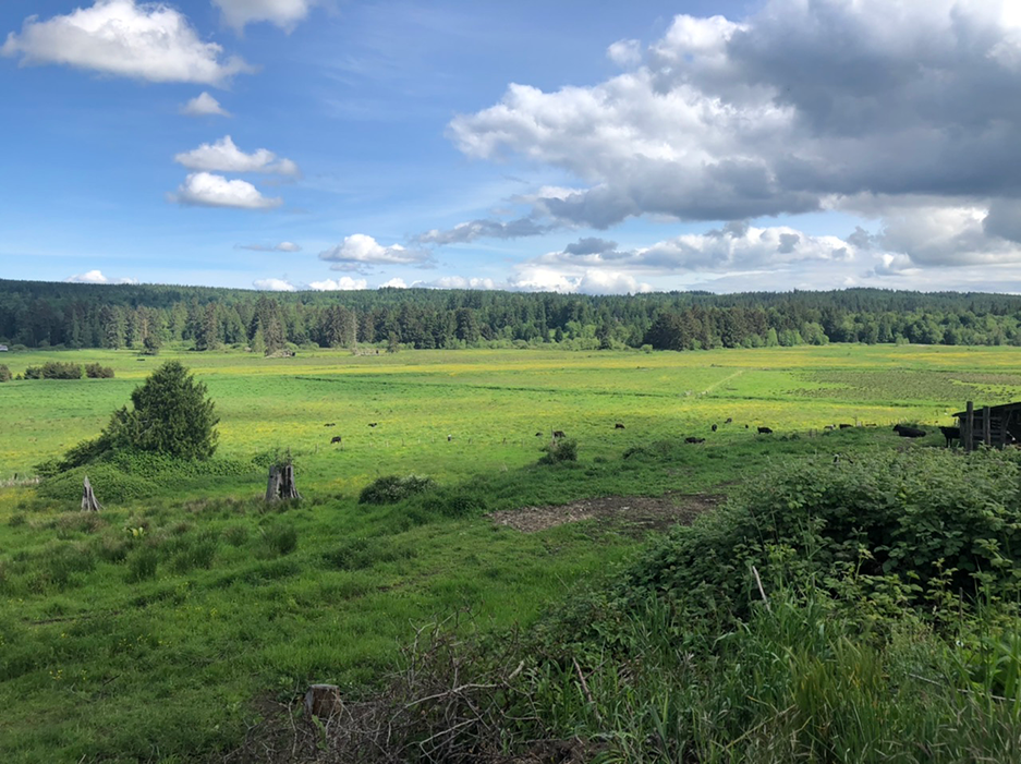 Hannan-Spread-Lg4Web Wide view of farmland with trees in the far background.