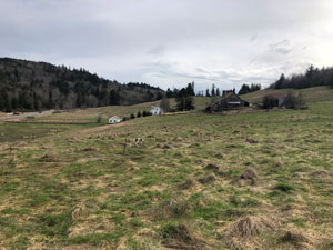 Open farmland with buildings in far ground.