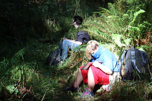Two boys with notebooks sit near a large fern.
