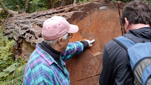 Photo of Joy Baisch and Greg Brotherton viewing log along the the Dosewallips River Road Trail. Photo from Greg Brotherton.