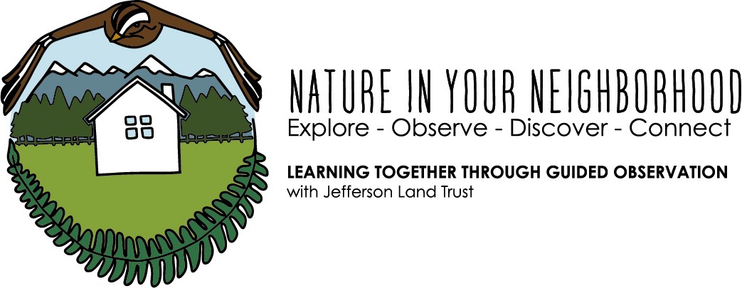 NIYN_Color_HZ Nature in Your Neighborhood Logo Banner Image