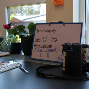 Whiteboard on counter by window recording birds observed.