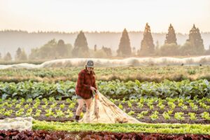 Woman standing amid crop rows