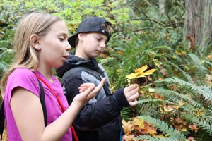 Two kids in forest looking at a maple leaf