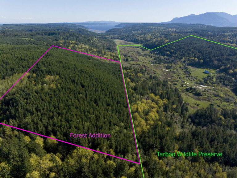 Aerial shot of forested land with colored lines showing the protected areas