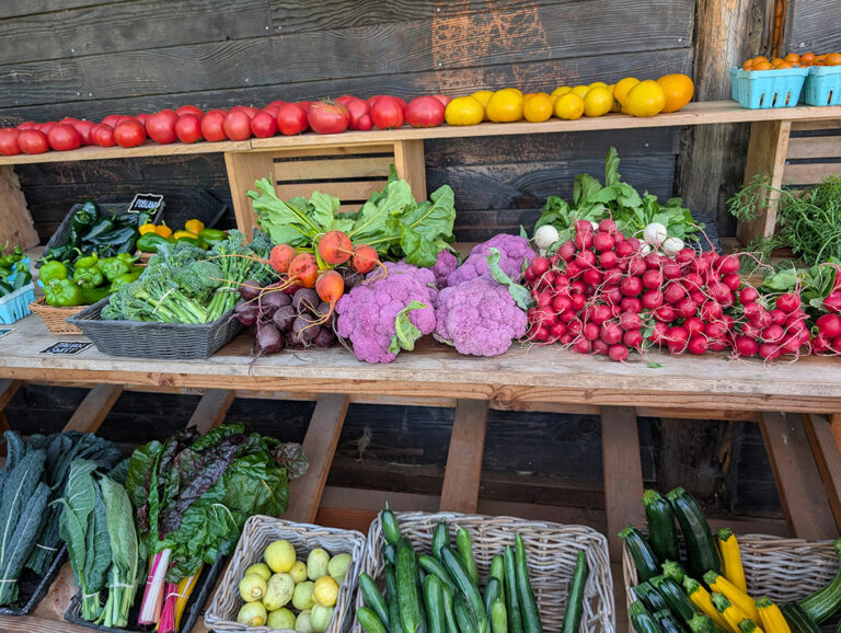 Colorful vegetables arranged on table and shelves