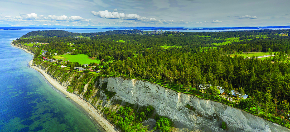 Aerial photo showing a coastline with a mostly forested bluff with some homes.