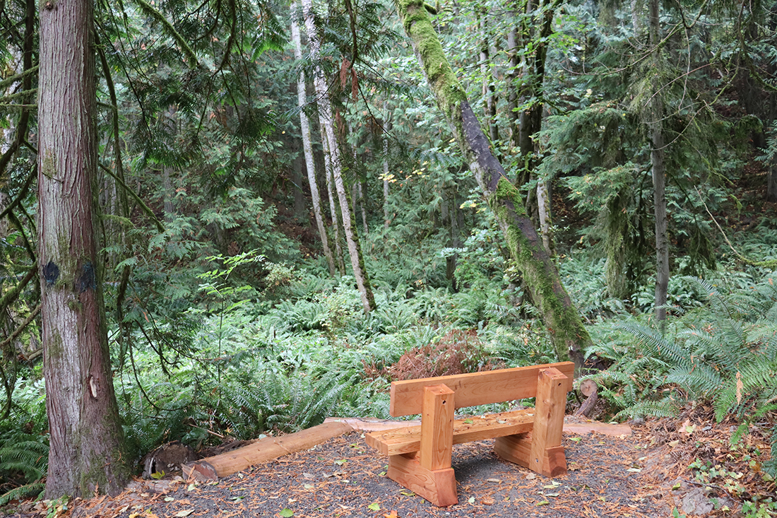 Photo of a bench on an overlook in a forest.