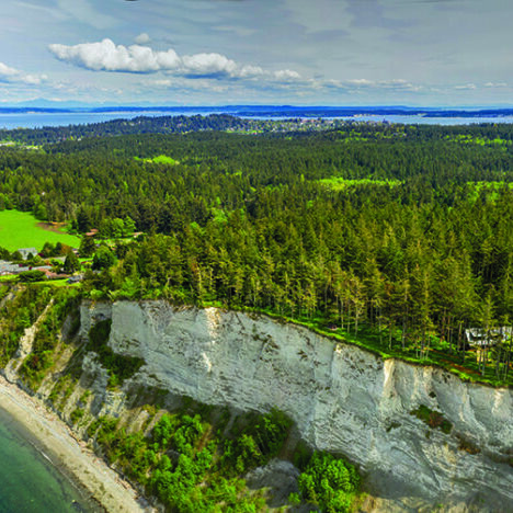 Aerial photo showing a coastline with a mostly forested bluff with some homes.