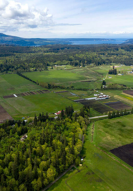 DJI_0997 Gussman Chimacum to Disco Bay Aerial photograph of farmland and forested areas stretching to a bay and mountains in the distance. Photo by John Gussman.