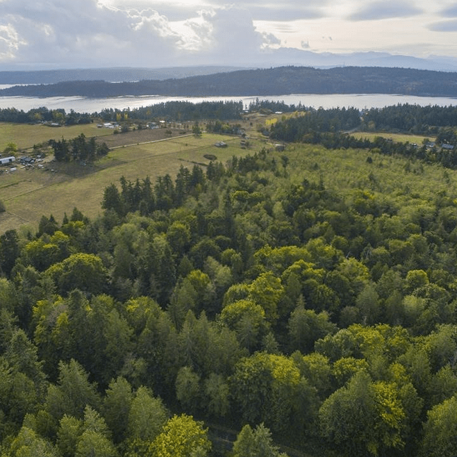 Aerial View of Fite Property