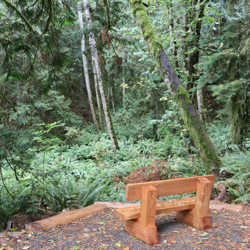 Photo of a bench on an overlook in a forest.
