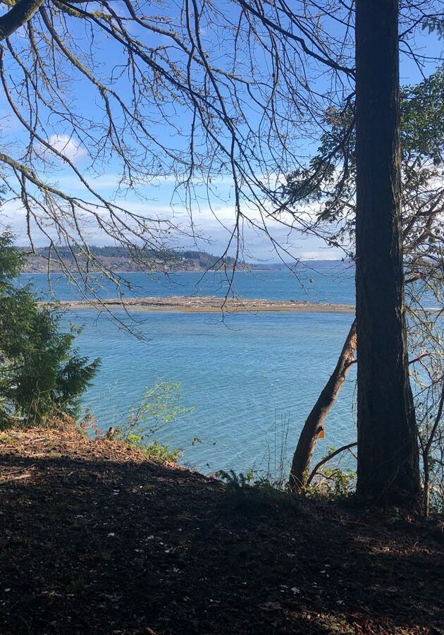 A gap between trees shows a wide expanse of vividly blue water.