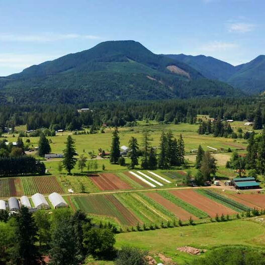 Midori Farm by John Gussman