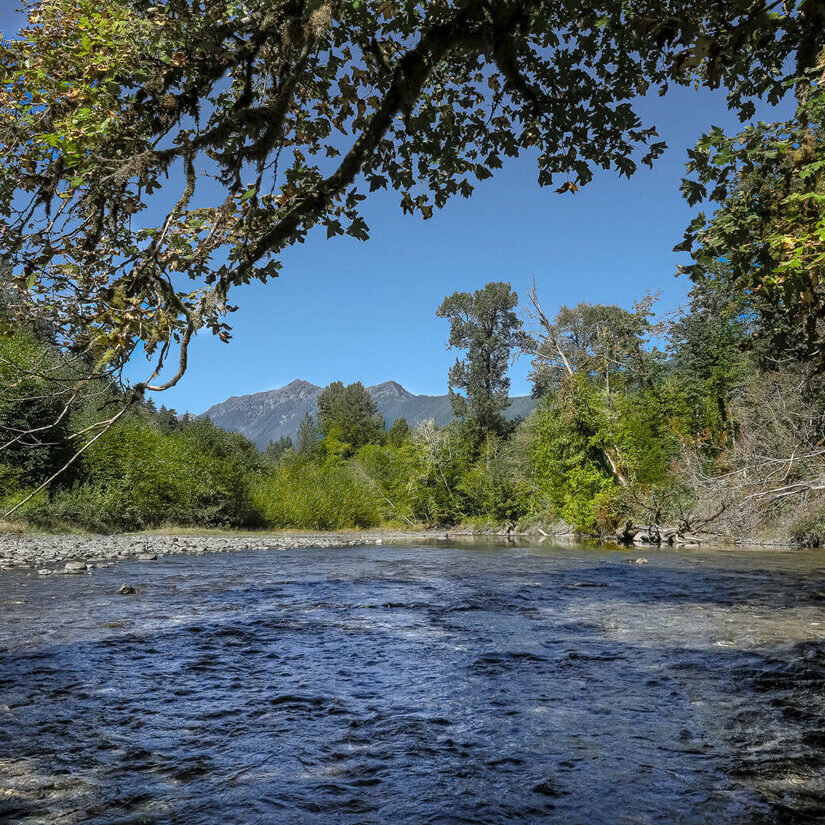 PR 008 - 6Z5A1251-Edit by Robert Tognoli A view of Duckabush River from the Land Trust's Duckabush Oxbow and Wetlands Preserve by Robert Tognoli.