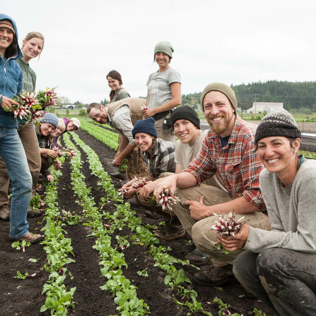 RDF crew by Deb Swanson-medium Some of the Red Dog Farm team in the field. Photo by Deb Swanson.