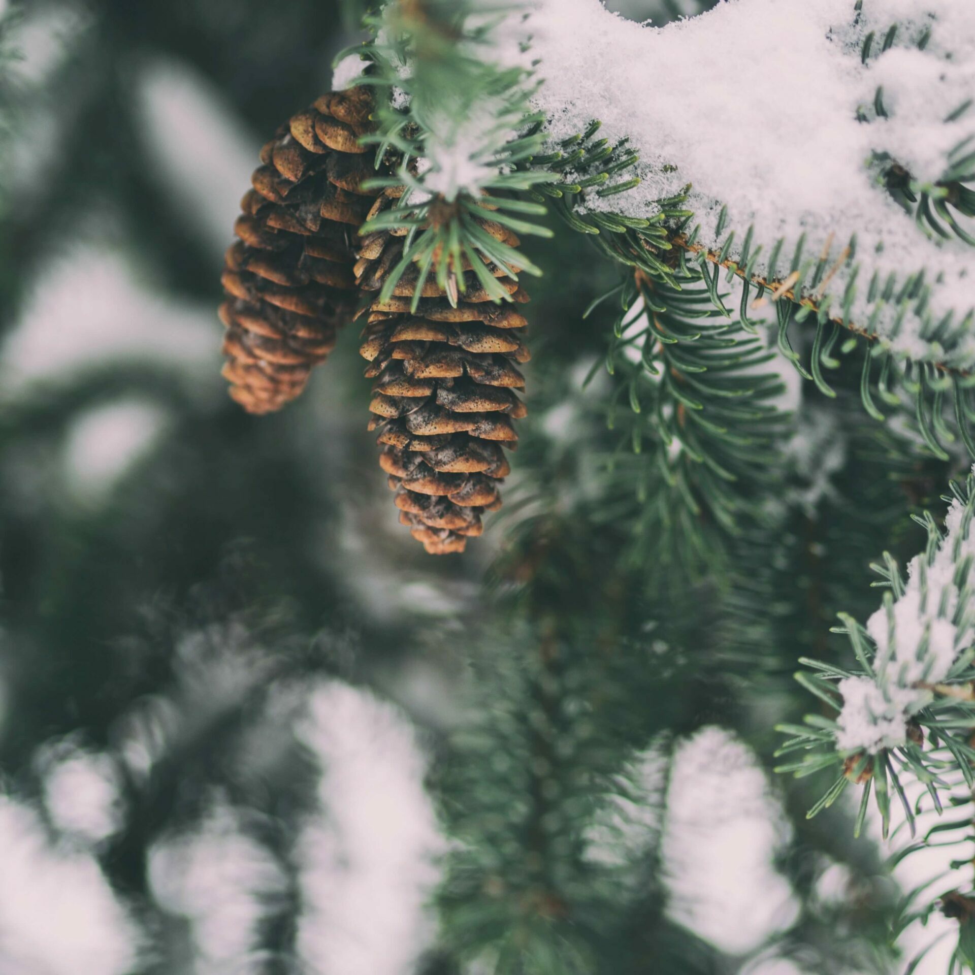 aaron-burden-cGW1w-qLix8-unsplash aaron-burden-cGW1w-qLix8-unsplash