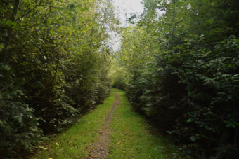 Quimper West Preserve is a beautiful mature forest threaded with footpaths. Quimper West Preserve is a beautiful mature forest threaded with footpaths.