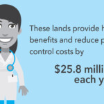 Image by The Trust for Public Land Health Benefits