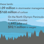 Image by The Trust for Public Land Land Benefits