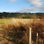 With the river, saltmarsh, wetlands, and young forests, this preserve provides vital habitat for local mammals, birds, and fish.